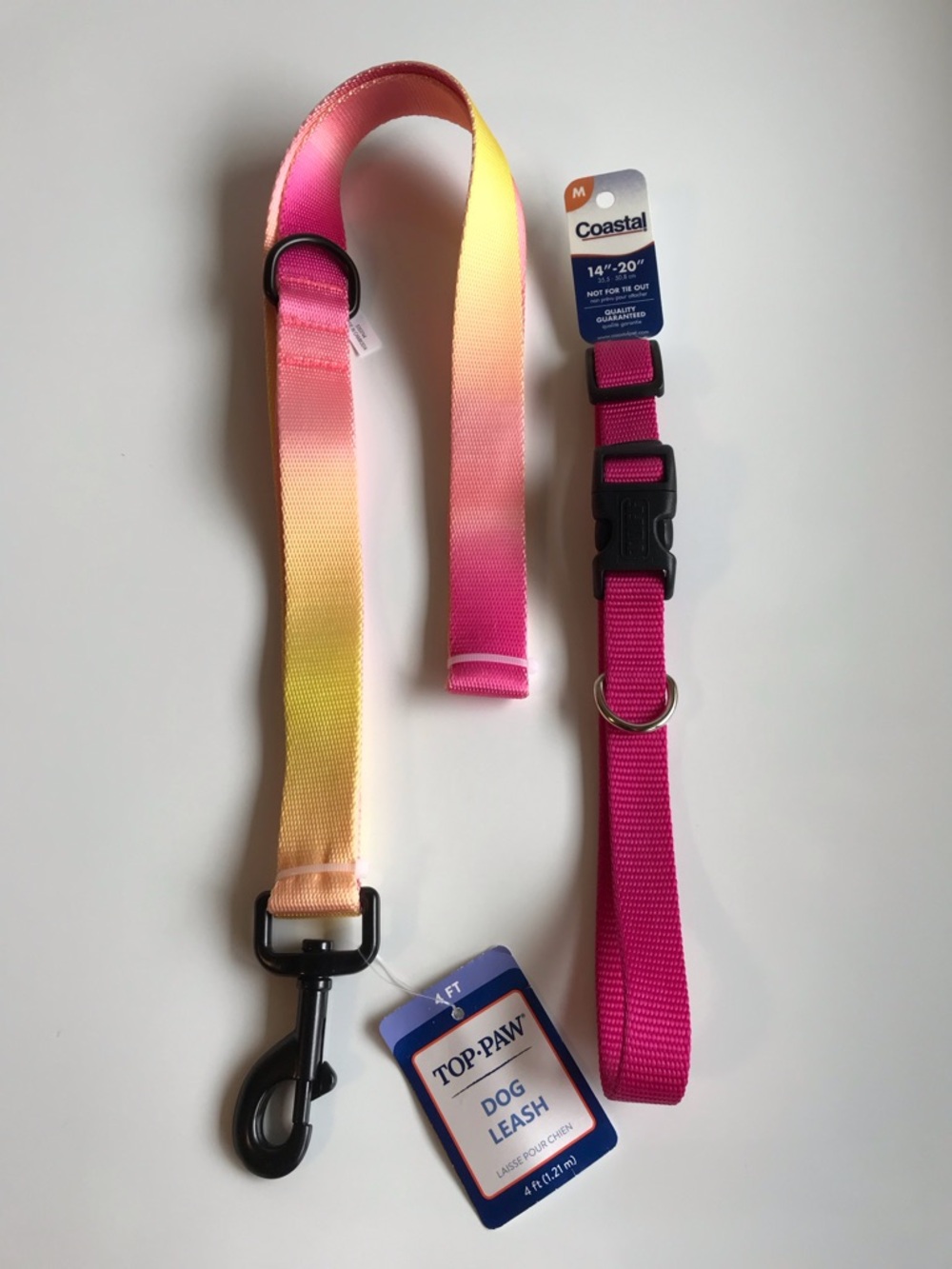 Top Paw Ombre 4 Foot Dog Leash + Coastal Medium 14”-20” Tuff Collar